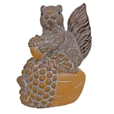 Homegifo Resin Squirrel On Acorn Figurine In Multi