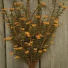 Homegifo Rust Astilbe Bush - 21"