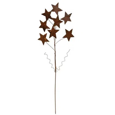 Homegifo Rusty Star Spray In Burgundy