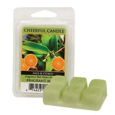 Homegifo Sage And Citrus Wax Melts In Green
