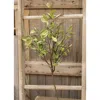 Homegifo Sage Leaves & Twigs Spray 25"