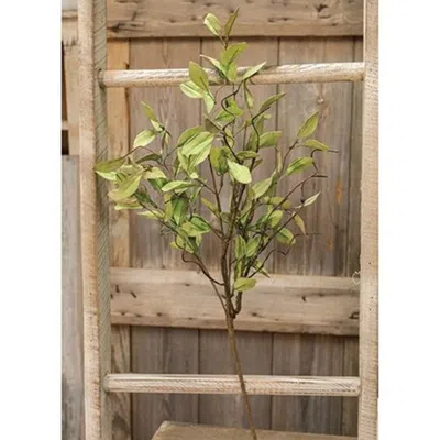 Homegifo Sage Leaves & Twigs Spray 25" In Green