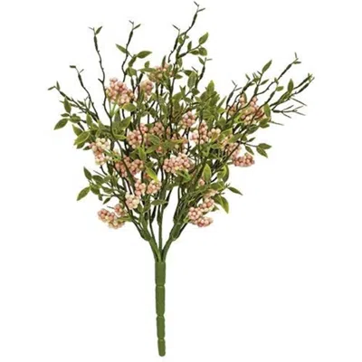 Homegifo Savannah Buds Bush In Black