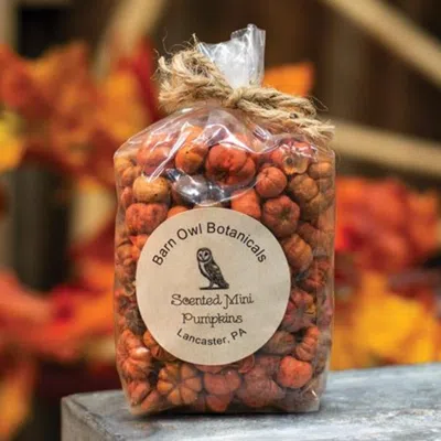 Homegifo Scented Mini Pumpkins 3 Cups In Multi