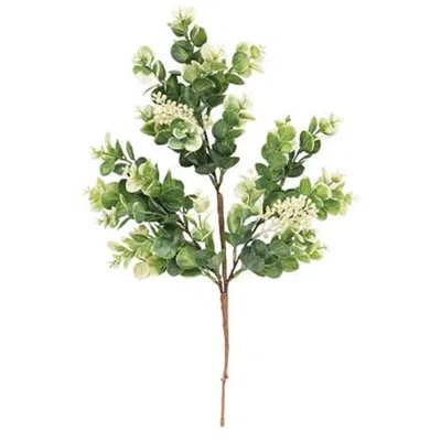 Homegifo Seeded Baby Eucalyptus Bush In Green