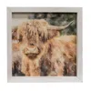 Homegifo Shaggy Steer Framed Portrait