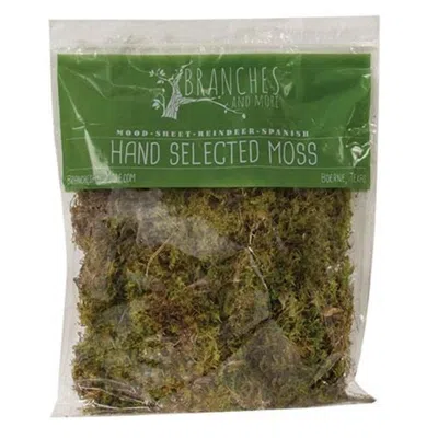 Homegifo Sheet Moss 328 Cubic Inches In Blue
