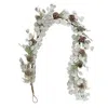 Homegifo *silver Dollar Shine Garland