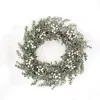 Homegifo Snow Berries & Icy Boxwood Wreath 22"