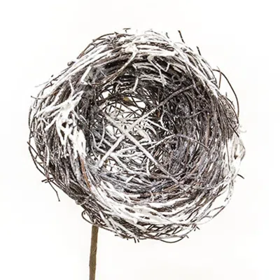 Homegifo Snow Fallen Birdnest Pick 13" In Gray