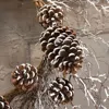 Homegifo Snow Fallen Twig & Pinecone Wreath 24"