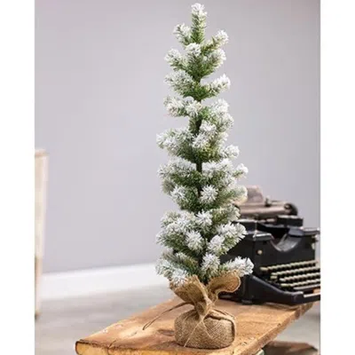 Homegifo Snow Tipped Pine Tree 24" In White
