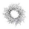 Homegifo Snowball Glittered Wreath 20"