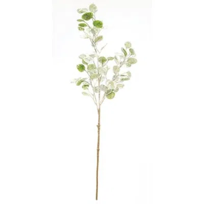 Homegifo *snowy & Glittered Eucalpytus Spray 32" In Green