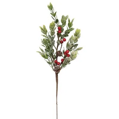 Homegifo Snowy Boxwood & Berry Pick In Multi