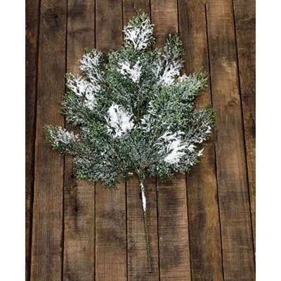 Homegifo Snowy Cedar Spray 18" In Green