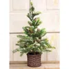 Homegifo Snowy Cypress Tree In Willow Basket 18"
