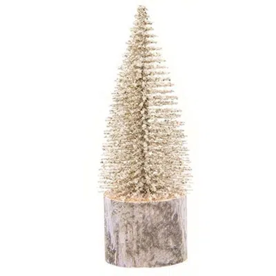 Homegifo Snowy Foxtail Pine Tree 6" In Brown