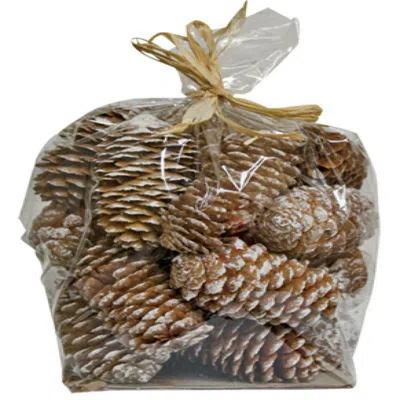 Homegifo Snowy Pinecone Fillers 6 Oz. In Brown