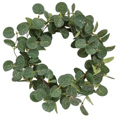 Homegifo Snowy Silver Dollar Wreath 16" In Green