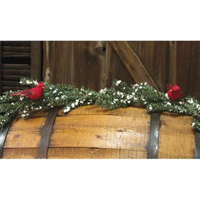 Homegifo Snowy Twig Garland W/cardinals 5ft In Green