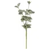 Homegifo Sparkle Silver Dollar Pick