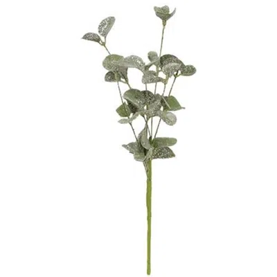 Homegifo Sparkle Silver Dollar Pick In Green