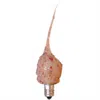 Homegifo Spicy Rosehip Moonscent Bulb 3w