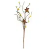 Homegifo Spring Mix Pip & Star Pick 12"