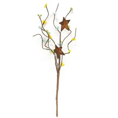Homegifo Spring Mix Pip & Star Pick 12" In Brown