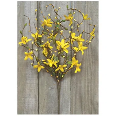 Homegifo Star Forsythia Spray 18" In Yellow