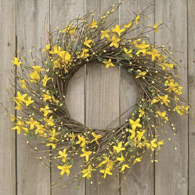 Homegifo Star Forsythia Wreath 20" In Yellow