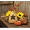 Homegifo Stiffened Primitive "harvest" Pumpkin