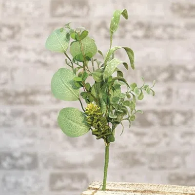 Homegifo Succulent Garden Pick 14" In Green