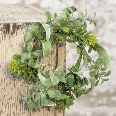 Homegifo Succulent Garden Ring 3.5" In Green