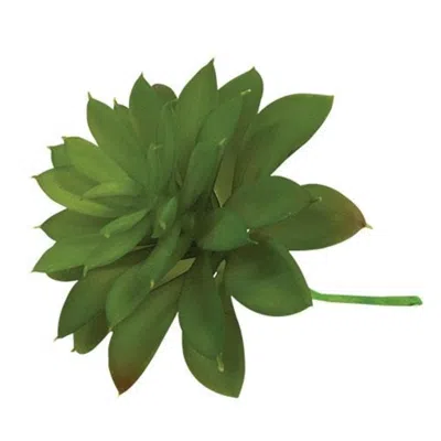 Homegifo Succulent Pick In Green