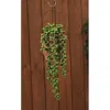Homegifo Succulent Strand 13.75" L