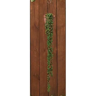 Homegifo Succulent Strand 28" L In Brown