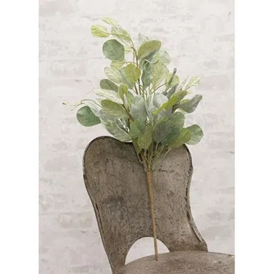 Homegifo Summer Splendor Bush 21" In Multi
