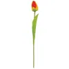 Homegifo Sunset Tulip Stem 15.5"
