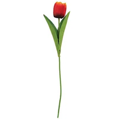 Homegifo *sunset Tulip Stem 17.5" In Red