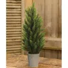 Homegifo Tahoe Pine Tree W/gray Pot 17"