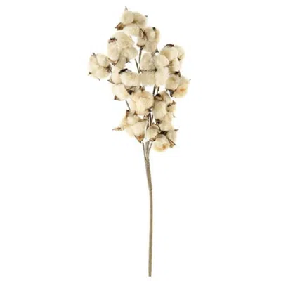 Homegifo *teastain Cotton Spray 21" In Neutral