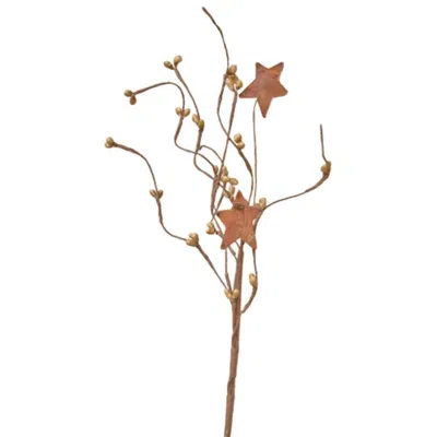 Homegifo Teastain Pip & Star Pick 12" In Brown