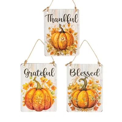 Homegifo Thankful Grateful Blessed Floral Pumpkin Rectangle Ornament 3 Asstd. In Black