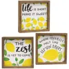 Homegifo *the Zest Is Yet To Come Framed Box Sign 3 Asstd.