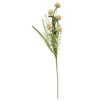 Homegifo Thistle Heather Ball Spray Cream In Green