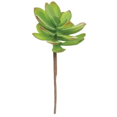 Homegifo Torch Succulent Pick In Green
