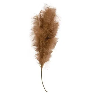 Homegifo *weeping Pampas Grass Branch Brown