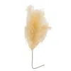 Homegifo *weeping Pampas Grass Branch Cream